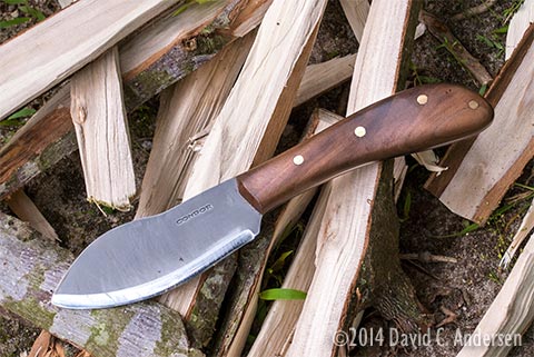 Image @2014 David C. Andersen