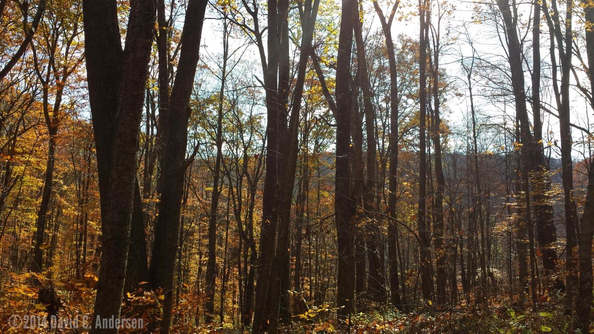 ©2014 David C. Andersen