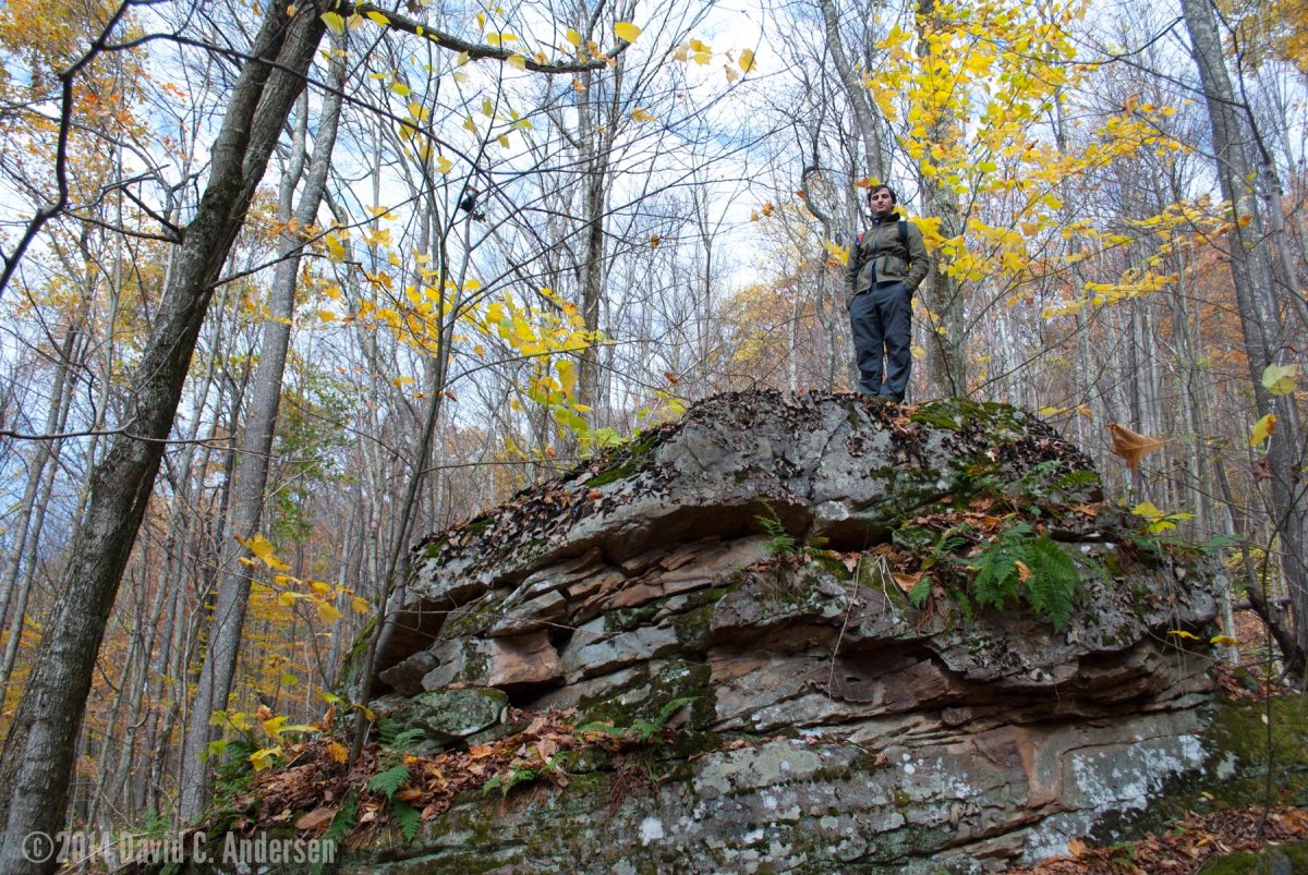 ©2014 David C. Andersen