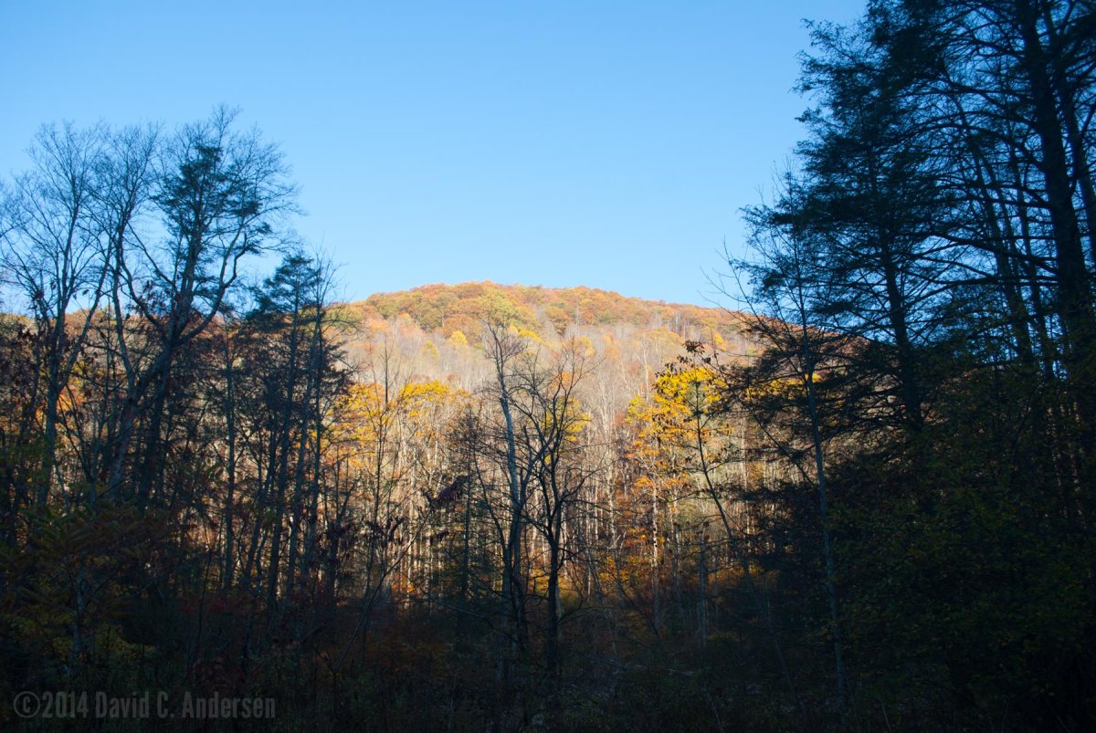 ©2014 David C. Andersen