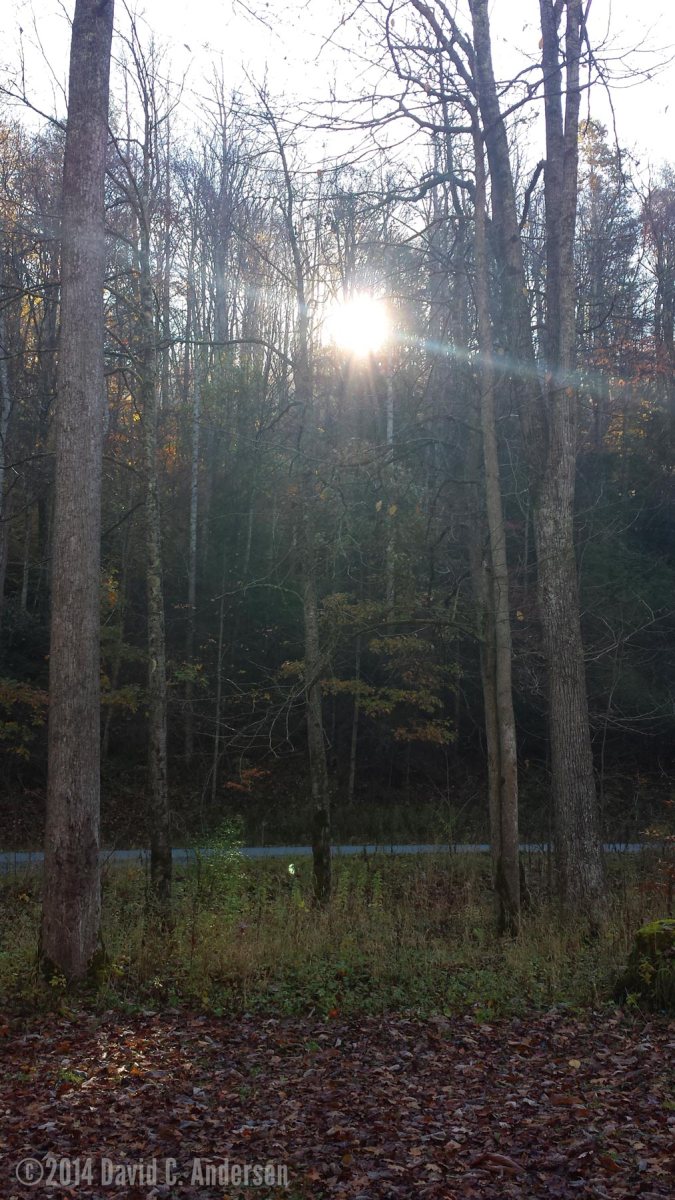 ©2014 David C. Andersen